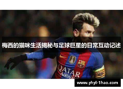 梅西的猫咪生活揭秘与足球巨星的日常互动记述