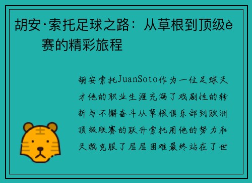 胡安·索托足球之路：从草根到顶级联赛的精彩旅程